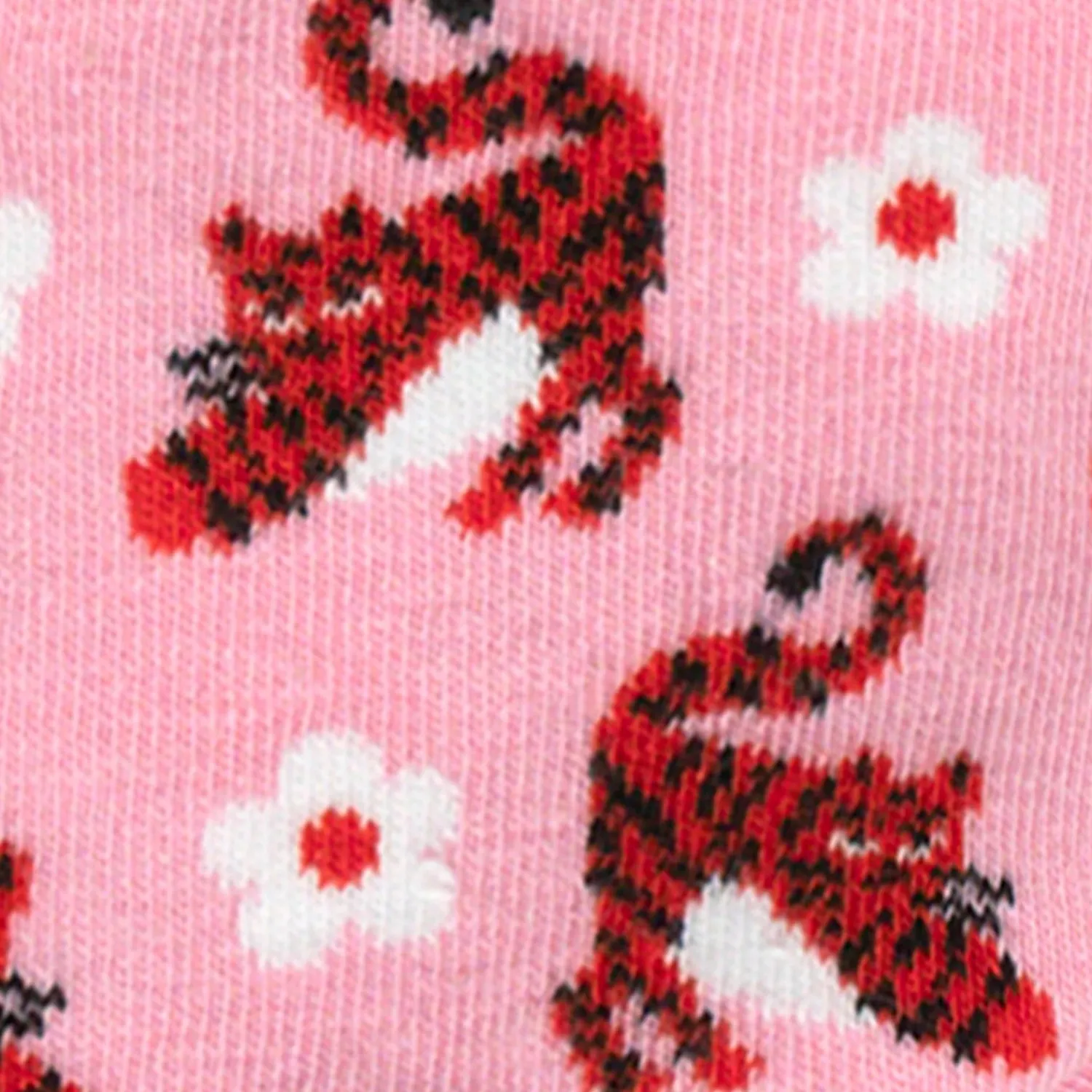 Cabaïa Chaussettes 36/41<Colette & Brahim